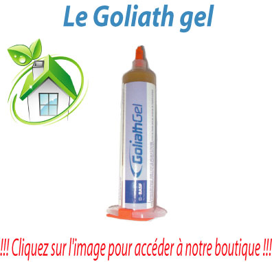 GOLIATH GEL - Insecticides et raticides