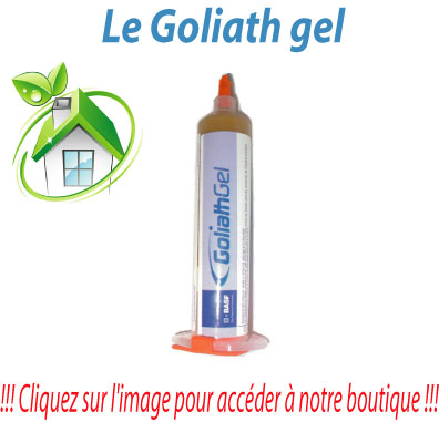 Gel BLATTATHOR Imidasect, gel anti cafard blatte puissant