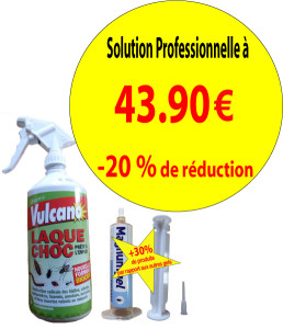 Laque anti cafard insecticide VULCANO