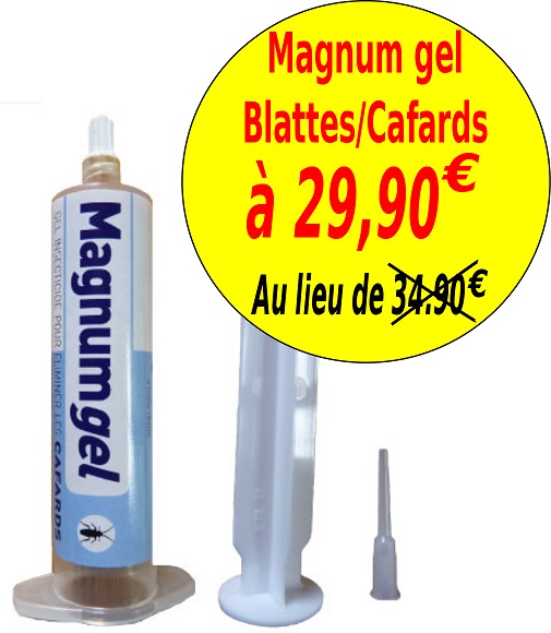 magnum-gel-29-90