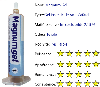 MAGNUM-GEL-BLOG