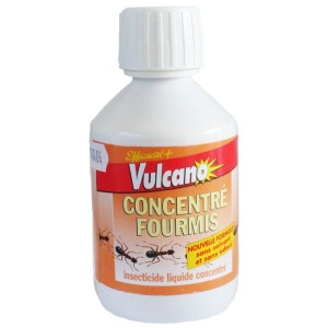 CONCENTRE-FOURMIS-VULCANO