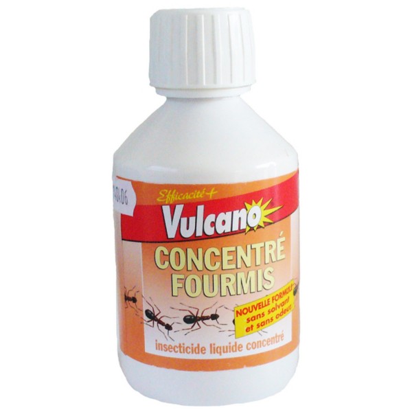 CONCENTRE-FOURMIS-VULCANO