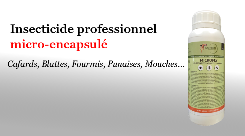 Produits anti-cafards professionnels - Insecticides et raticides