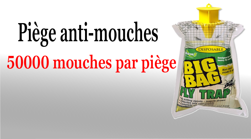 Piège anti-mouches écologique